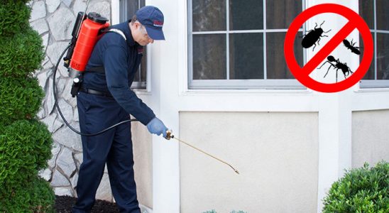 Gülşehir Tahtakurusu İlaçlama böcek ilaçlama ve haşere kontrolü — ilaclama-tr.com